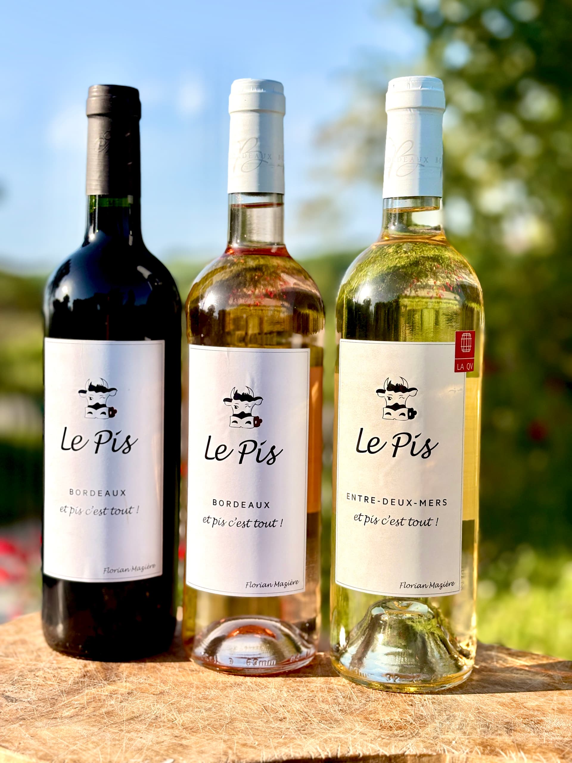 Le Pis Rosé 2024 Bio - Miniature 2