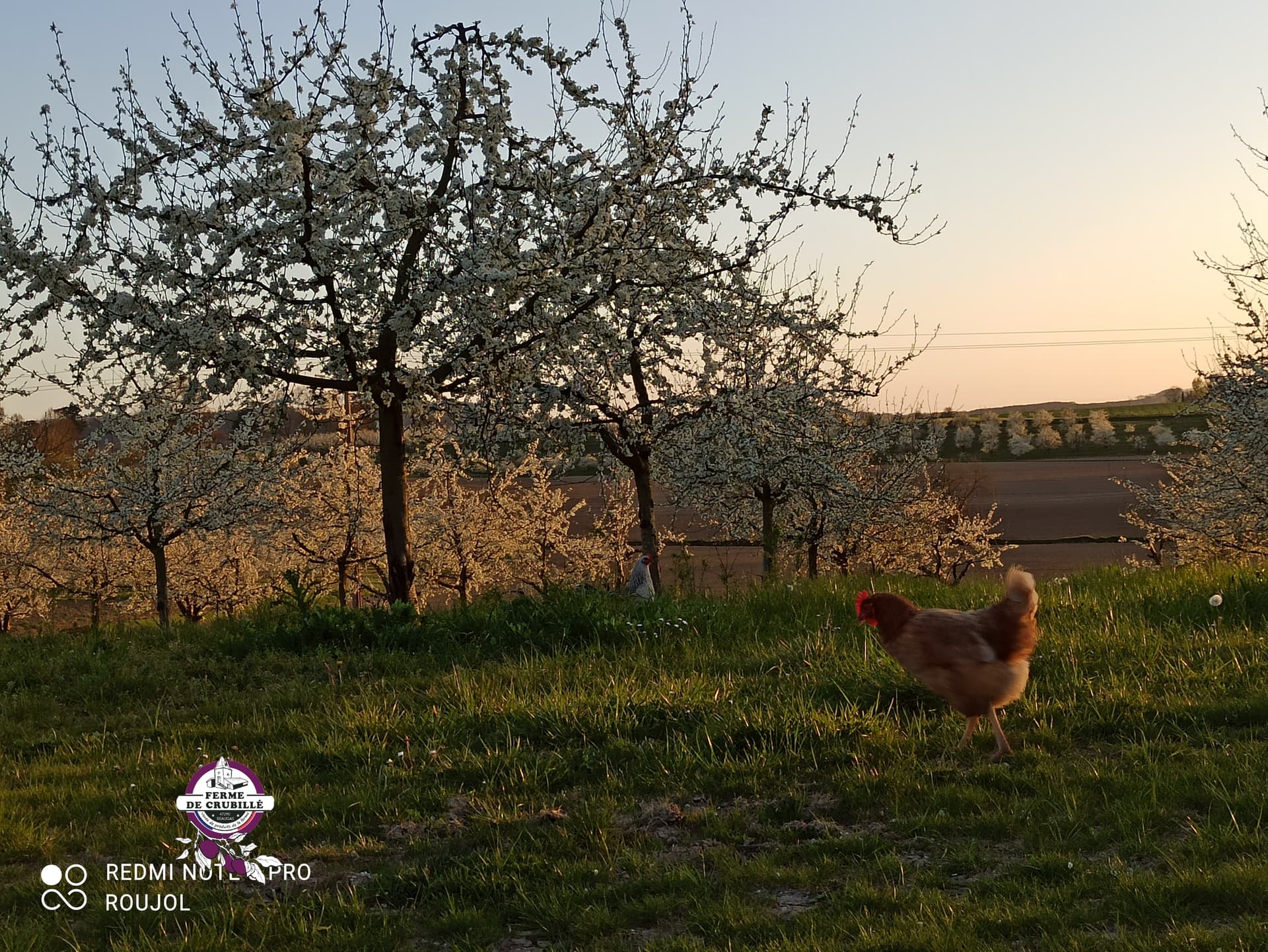 Photo de la boutique de Ferme de Crubillé