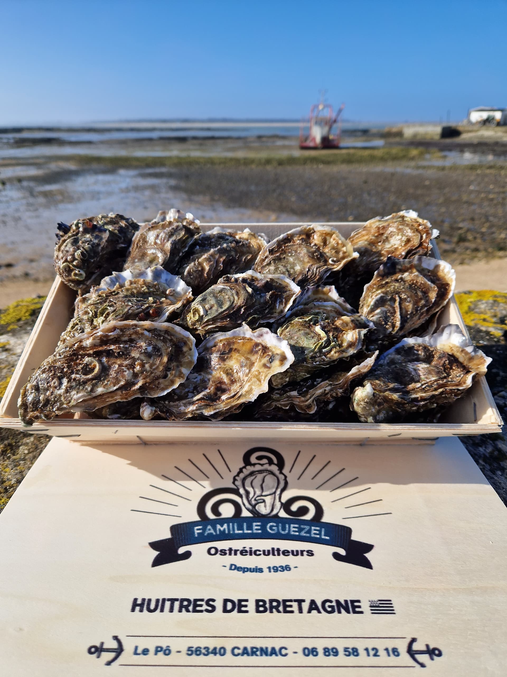 Huîtres creuses bretonne de la Baie de Quiberon N3x84
