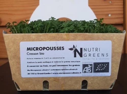 Micro pousses de cresson Bio 8 barquettes