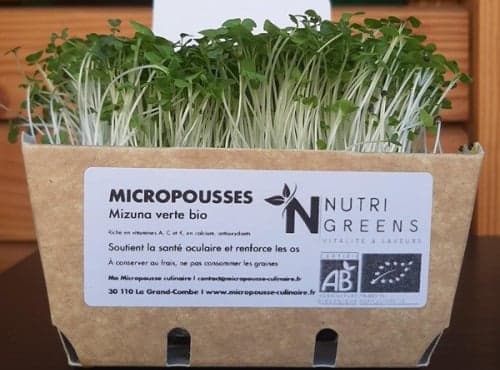 Micro-pousses de moutarde Bio 4 barquettes