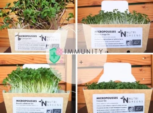 Micro pousses Pack Immunité + (brocoli, radis, cresson, moutarde) 4 barquettes