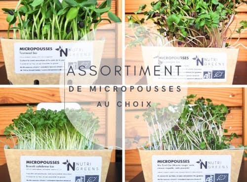 Micro pousses bio Assortiment au choix 16 barquettes